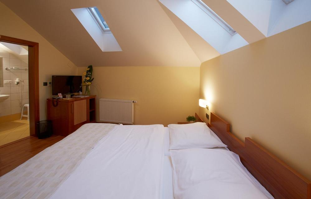 Hotel Penzion Na Hrade Olomouc Cameră foto